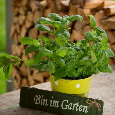 Gartenstudio Waldblick Apartment